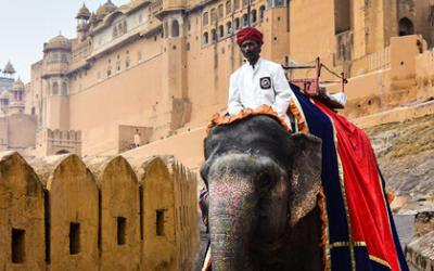 The Hidden Drivers of Your Mind: Why We Think, Judge, and Decide the Way We Do